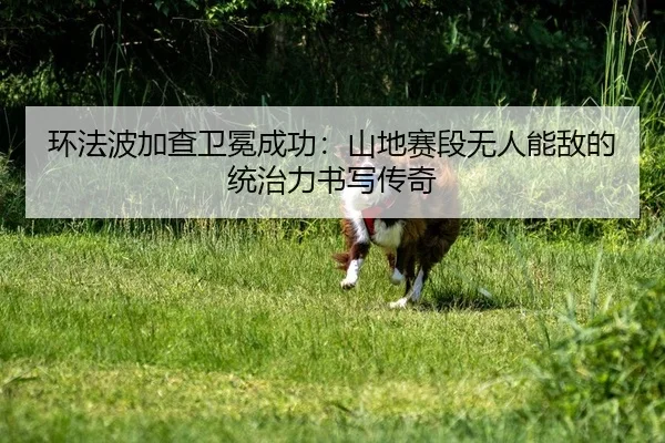 环法波加查卫冕成功：山地赛段无人能敌的统治力书写传奇