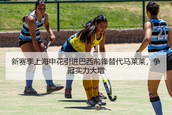 新赛季上海申花引进巴西前锋替代马莱莱，争冠实力大增